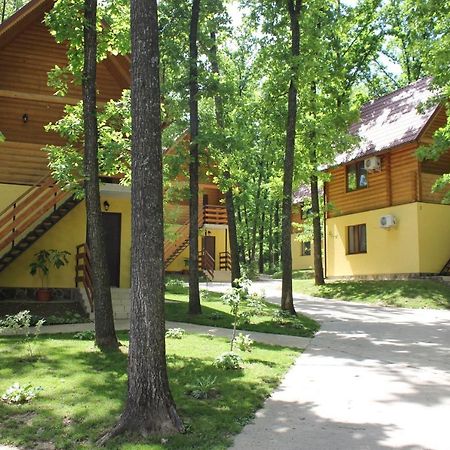Hotel Вілія Lomacineţi Zewnętrze zdjęcie
