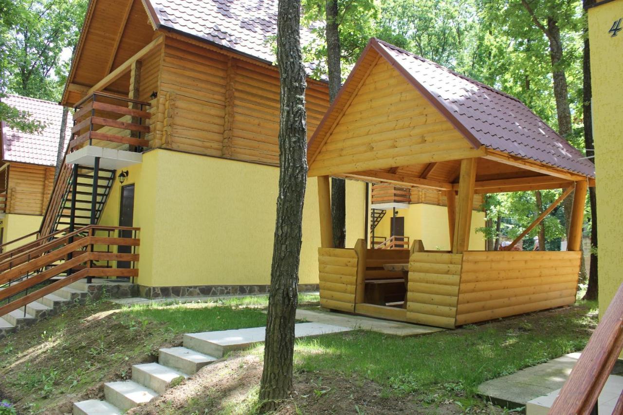Hotel Вілія Lomacineţi Zewnętrze zdjęcie