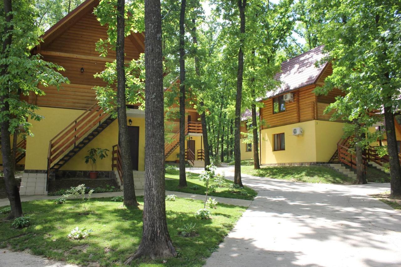 Hotel Вілія Lomacineţi Zewnętrze zdjęcie